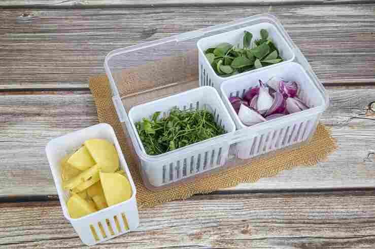 Kitchen Scallion Storage Box Pack of 2